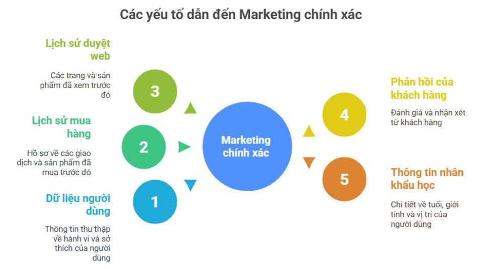Phân tích chân dung người dùng và Marketing chính xác