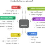 Cơ cấu tổ chức của Microsoft