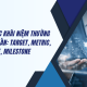KPI và các khái niệm thường bị nhầm lẫn Target, Metric, Objective, Milestone