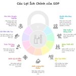 Lợi ích của SOP trong doanh nghiệp