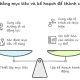 Năng lực Thiết lập Mục tiêu và Kế hoạch Hành động