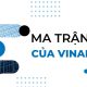 ma trận ife của vinamilk