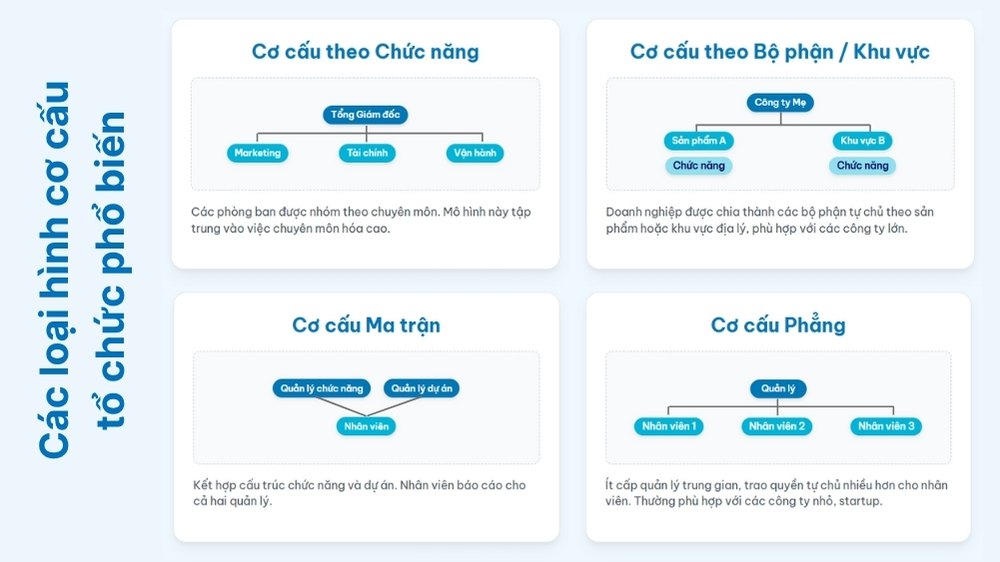 các loại cơ cấu tổ chức phổ biến