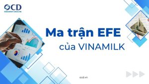ma trận efe của vinamilk