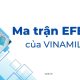 ma trận efe của vinamilk