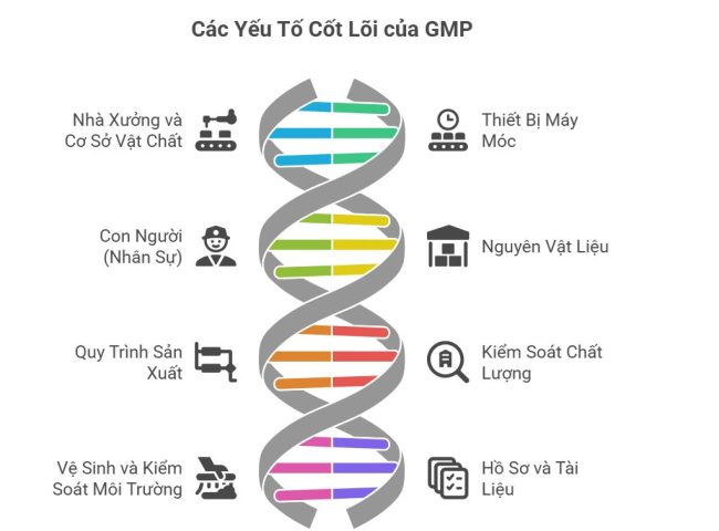Các yếu tố cốt lõi của Thực hành Sản xuất tốt GMP