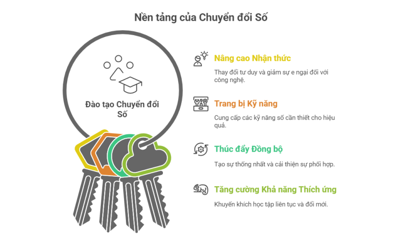Đào tạo nhận thức và kỹ năng số - trụ cột của chuyển đổi số