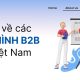 ví dụ về mô hình b2b tại việt nam