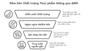 GMP ngành chế biến thực phẩm