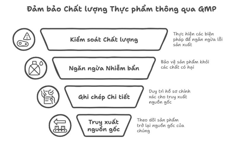 GMP ngành chế biến thực phẩm