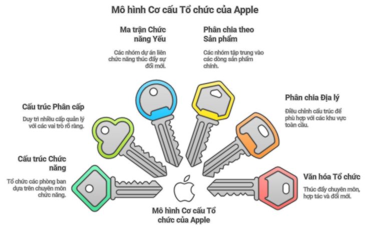 Mô hình cơ cấu tổ chức của Apple