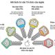 Mô hình cơ cấu tổ chức của Apple
