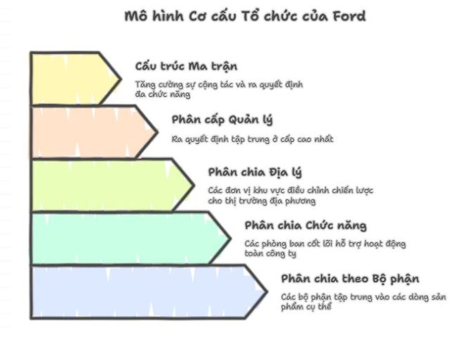 Mô hình cơ cấu tổ chức của Ford