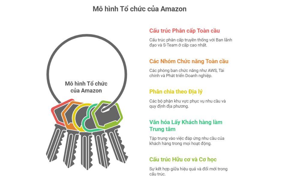 Mô hình tổ chức của Amazon