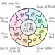 Phần mềm quản lý nhà máy sửa chữa