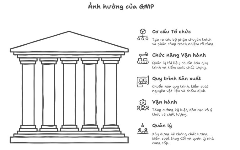 Tác động của GMP