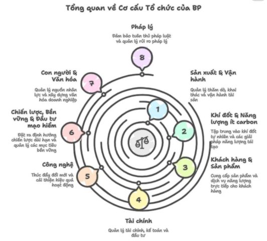 Tổng quan cơ cấu tổ chức của BP