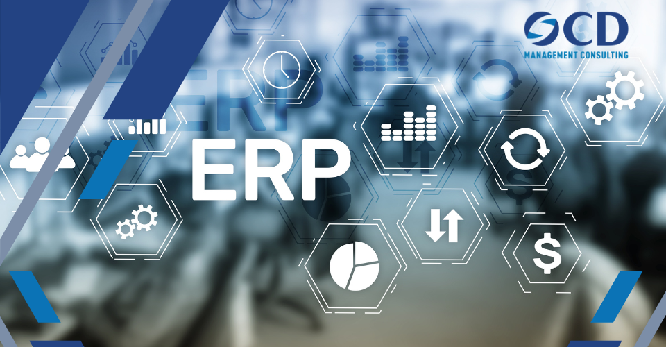Dịch vụ Tư vấn Triển khai ERP