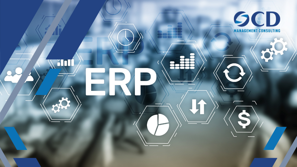 Dịch vụ Tư vấn Triển khai ERP