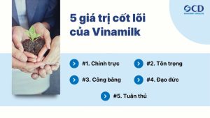 5 giá trị cốt lõi tạo thành văn hóa doanh nghiệp của Vinamilk