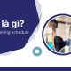 mps là gì master planning schedule