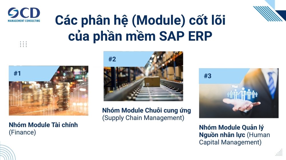 các phân hệ (module) cốt lõi của phần mềm sap erp