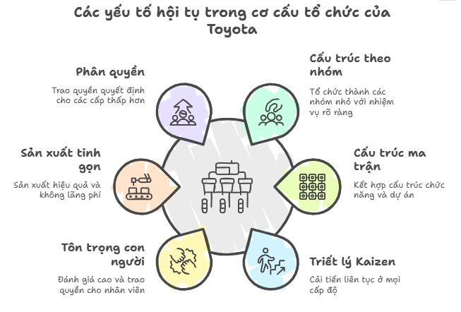 Cơ cấu tổ chức Toyota
