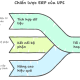 Kinh nghiệm triển khai ERP tại UPS