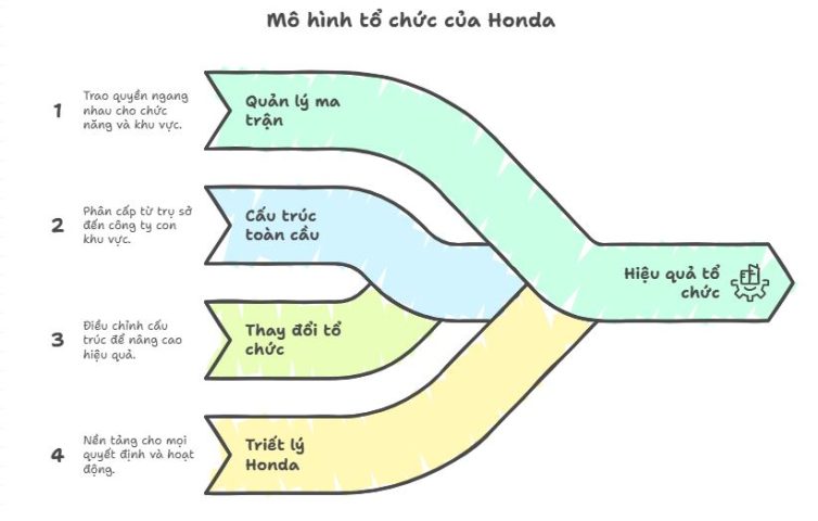 Mô hình cơ cấu tổ chức của Honda