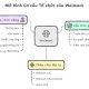 Mô hình cơ cấu tổ chức của Wallmart