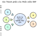 Phần mềm Quản lý Nguồn lực Tổng thể ERP