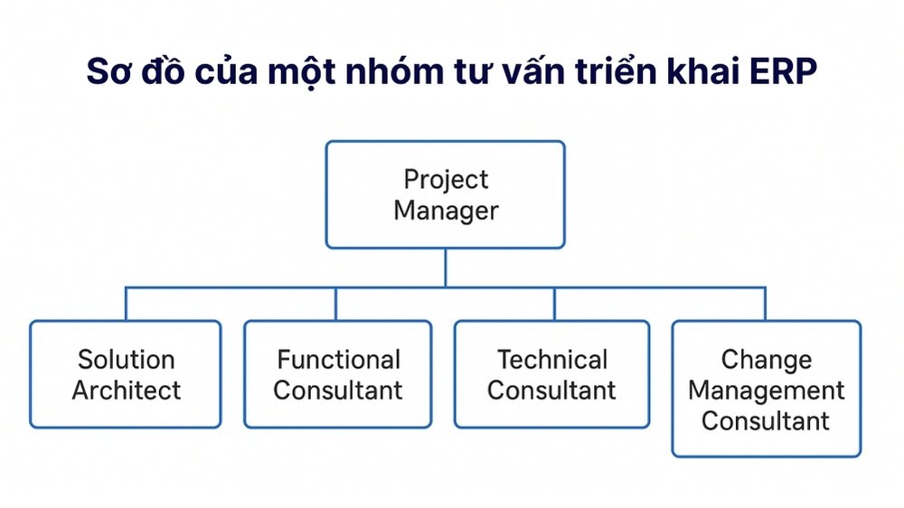 sơ đồ của nhóm tư vấn erp