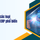 Tìm hiểu các loại hệ thống ERP phố biến hiện nay