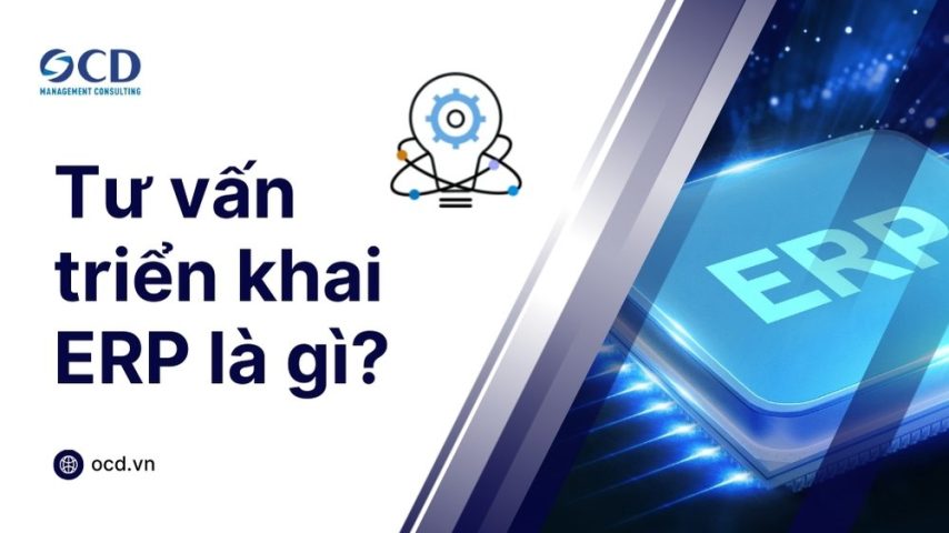 tư vấn triển khai erp là gì