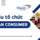 cơ cấu tổ chức của masan cónusmer