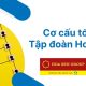 cơ cấu tổ chức của tập đoàn hoa sen