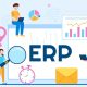 hệ thống erp