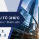 Cơ cấu tổ chức công ty TNHH 1 thành viên