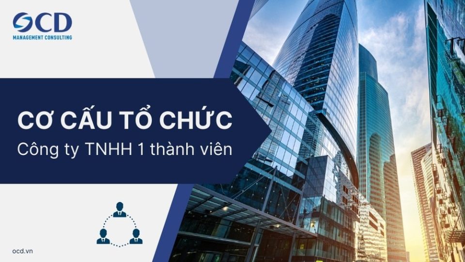Cơ cấu tổ chức công ty TNHH 1 thành viên