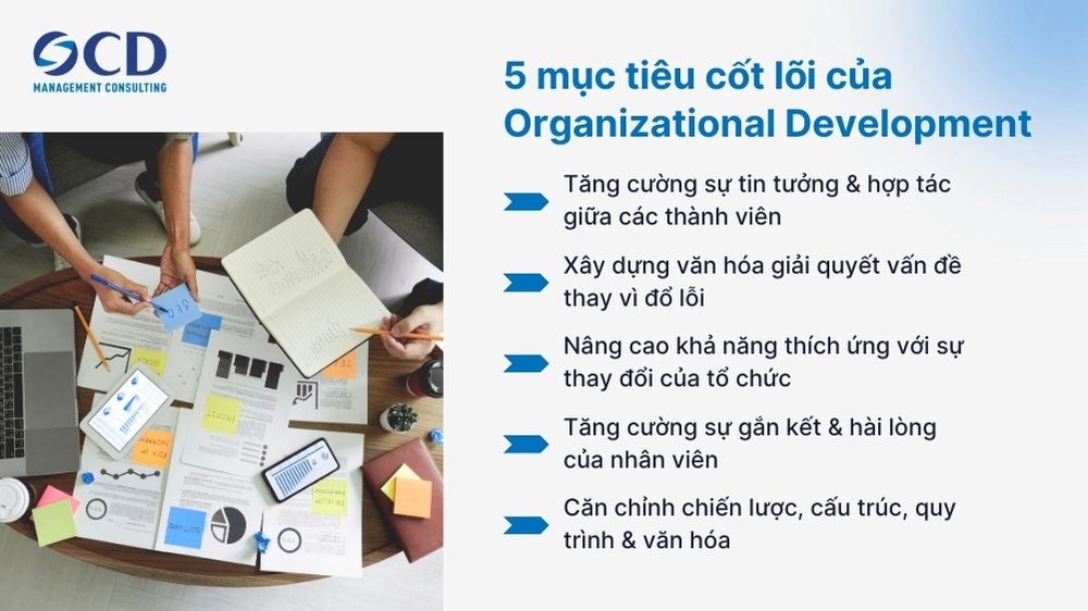5 mục tiêu cốt lõi của Organizational Development