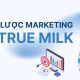 Chiến lược Marketing của TH True Milk