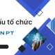 Cơ cấu tổ chức VNPT
