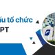 Cơ cấu tổ chức của FPT