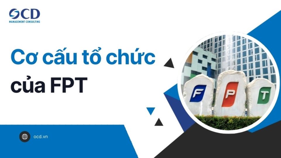 Cơ cấu tổ chức của FPT