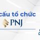 Cơ cấu tổ chức của PNJ
