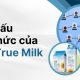 Cơ cấu tổ chức của TH True Milk