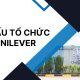 Cơ cấu tổ chức của Unilever