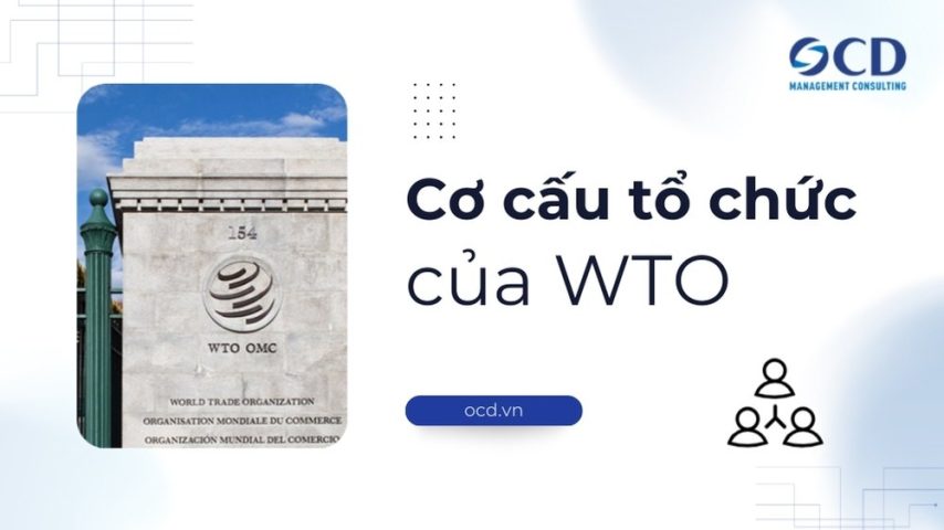 Cơ cấu tổ chức của WTO