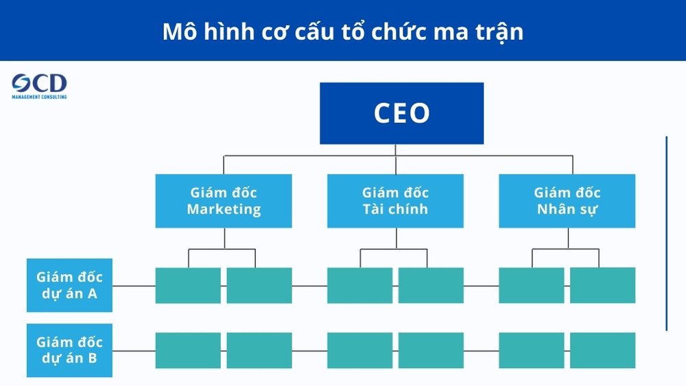 Cơ cấu tổ chức ma trận