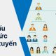 Cơ cấu tổ chức trực tuyến là gì?